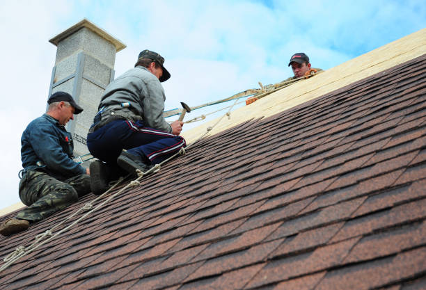 Quick and Trustworthy Emergency Roof Repair Services in Riverdale Park, CA